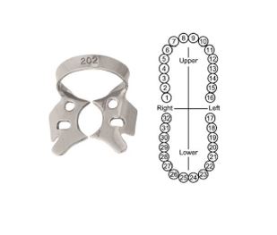 Grampo Nr. 202 6binvent