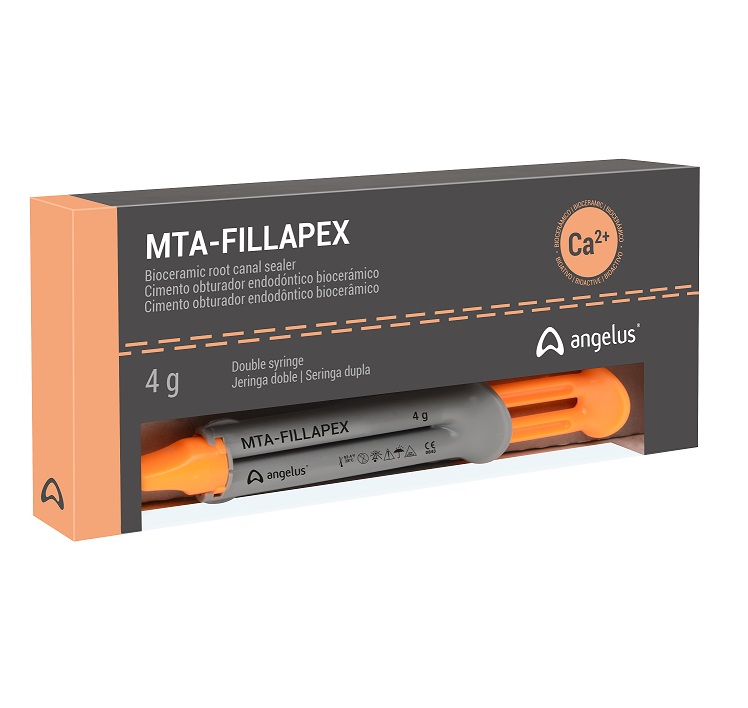Mta Fillapex Angelus