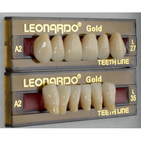 Dente Gold Leonardo